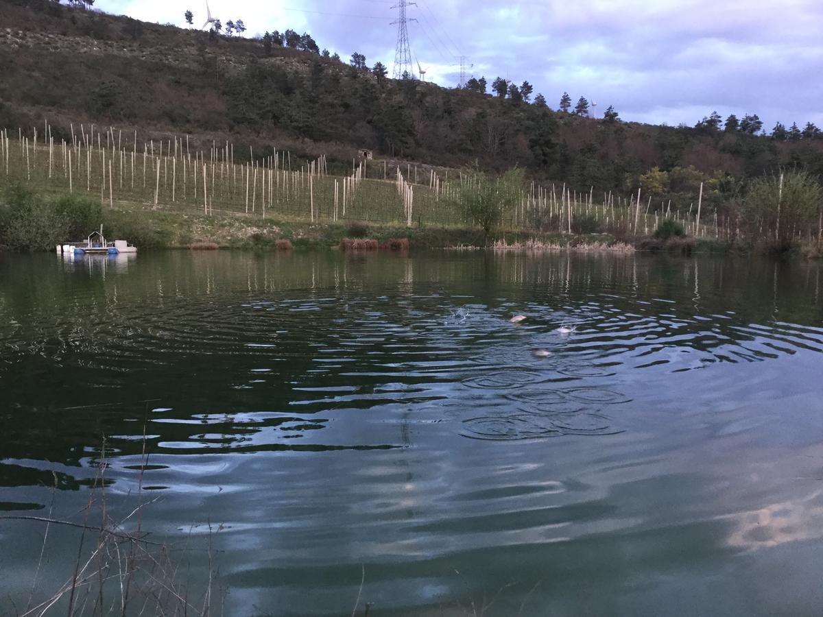 Quinta Bemboa Turismo Espaco Rural Aricera Bagian luar foto