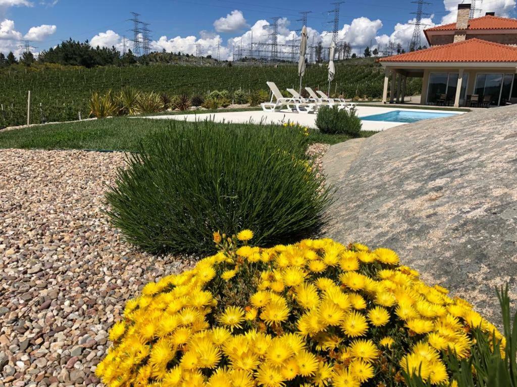 Quinta Bemboa Turismo Espaco Rural Aricera Bagian luar foto